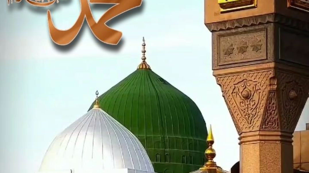 InShot_20251206_175349933