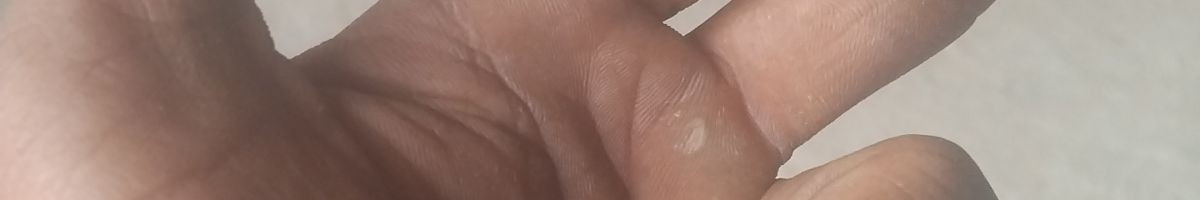 110970193678757664756 