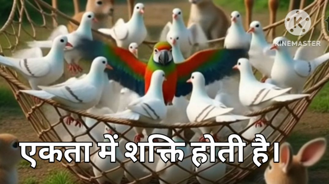 ⁣Chidiya wala video/chidiyon ki kahani