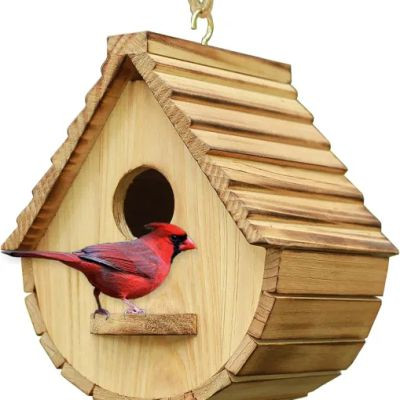 prakash_gujar2 prakash_gujar2