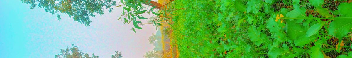 sachitToons@98 sachitToons@98