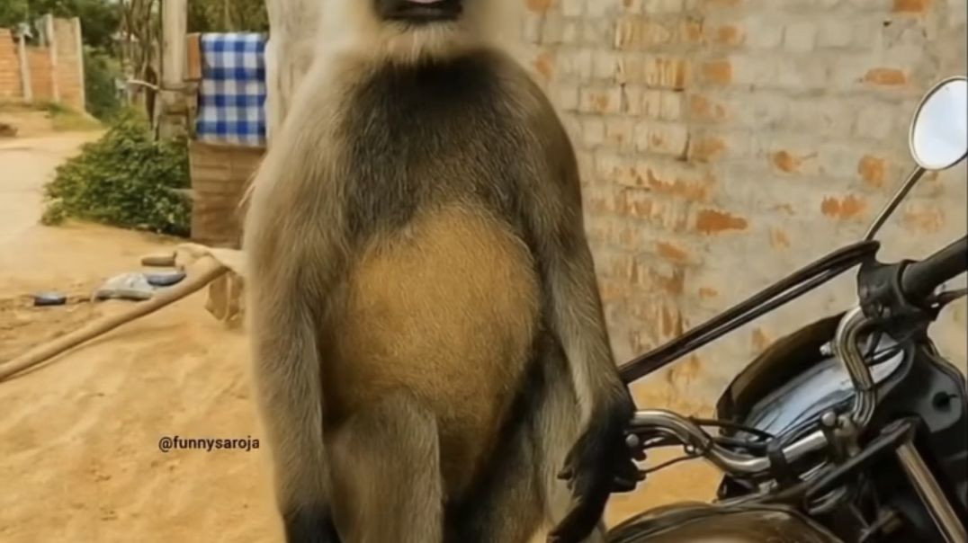 ⁣Snapchat-2068543978