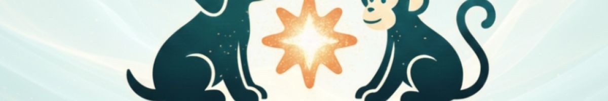 c392a5cd6
