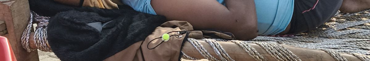 113342352052313791351 