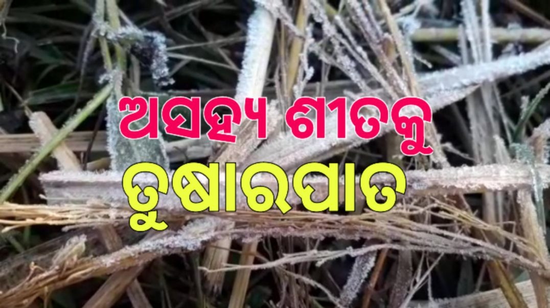 ଜି.ଉଦୟଗିରିରେ ତୁଷାରପାତ ସହ ପ୍ରବଳ ଶୀତ।