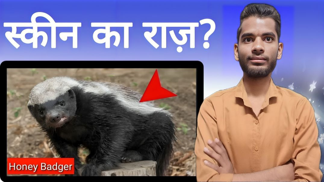 ⁣honey badger ki skin ka ye raaj kuch hi log janta hai | AC Prashant