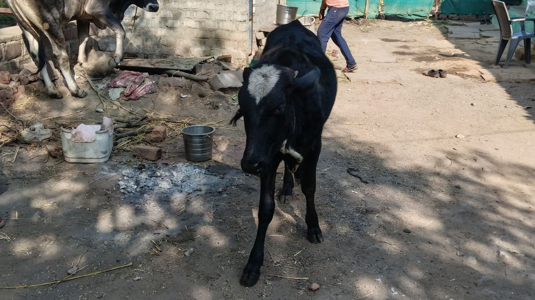 ⁣VID-20251209-WA0018