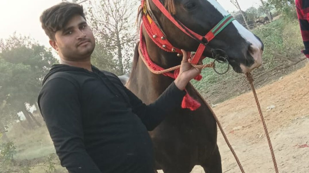 instagram_1764696895033