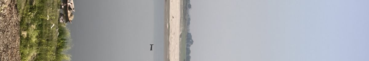 Rani_Yadav_7