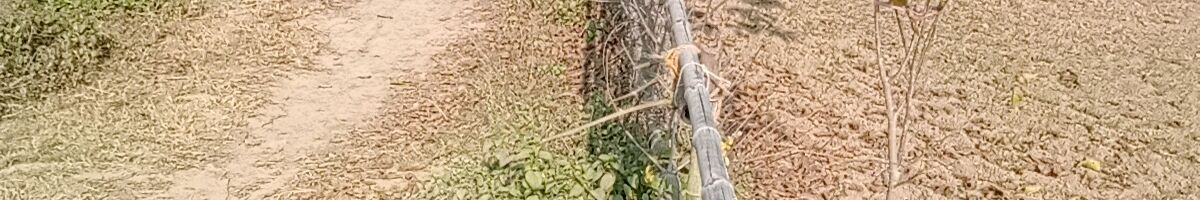 105045578545130195215 