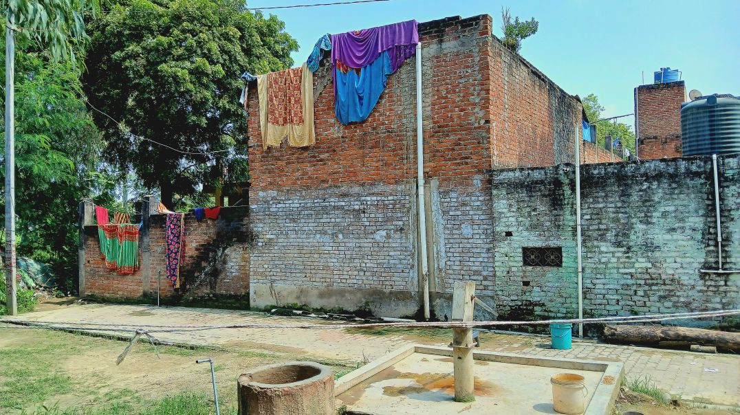 ⁣Ye Golden tree #apnatube#shivam