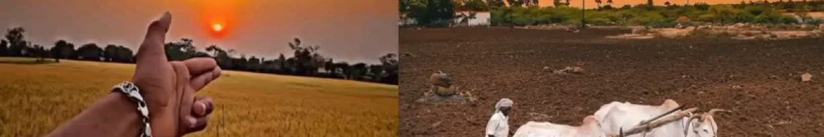 106377288954205612335 