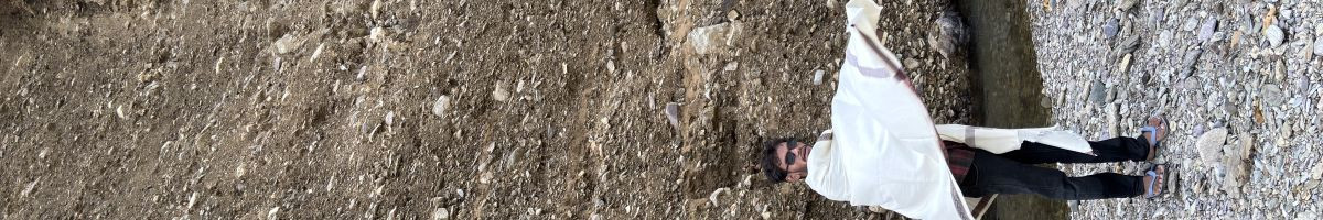 110220261624039759723 