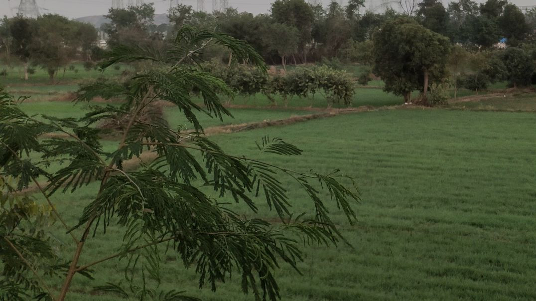 ⁣Khet khalihan pahadi