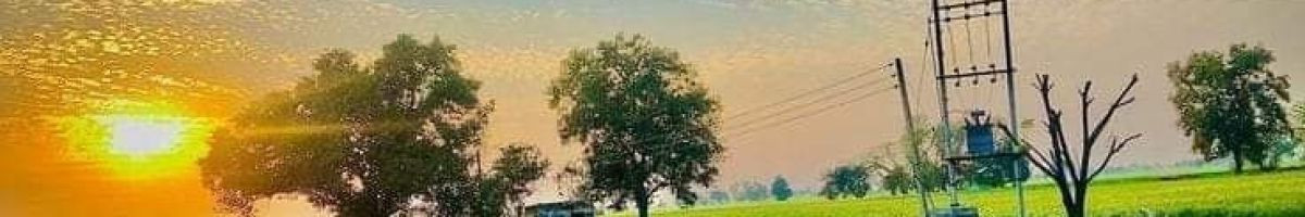 110214714786218704349 