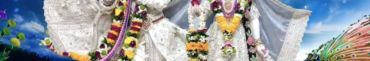 118181177975029606029 