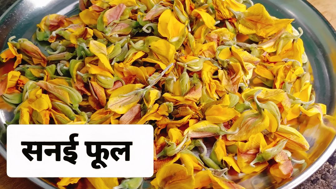 ⁣Sanai Phool Recipe Teaser