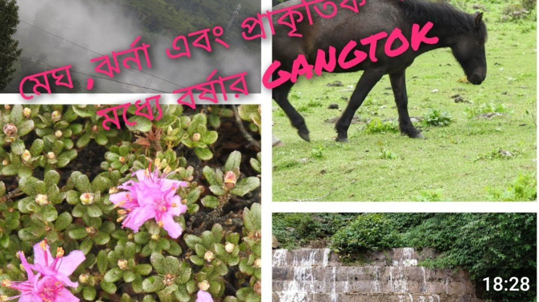 ⁣GANGTOK TOUR PART 1(360P)