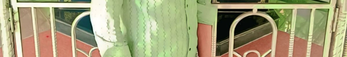 101153680274904902345 