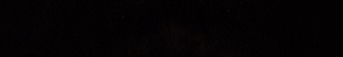 Krishna Bharatpuriya 