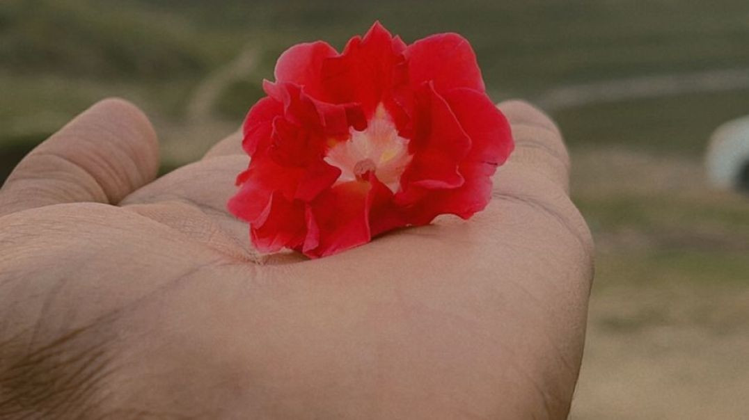 ⁣Har har Mahadev 🤗