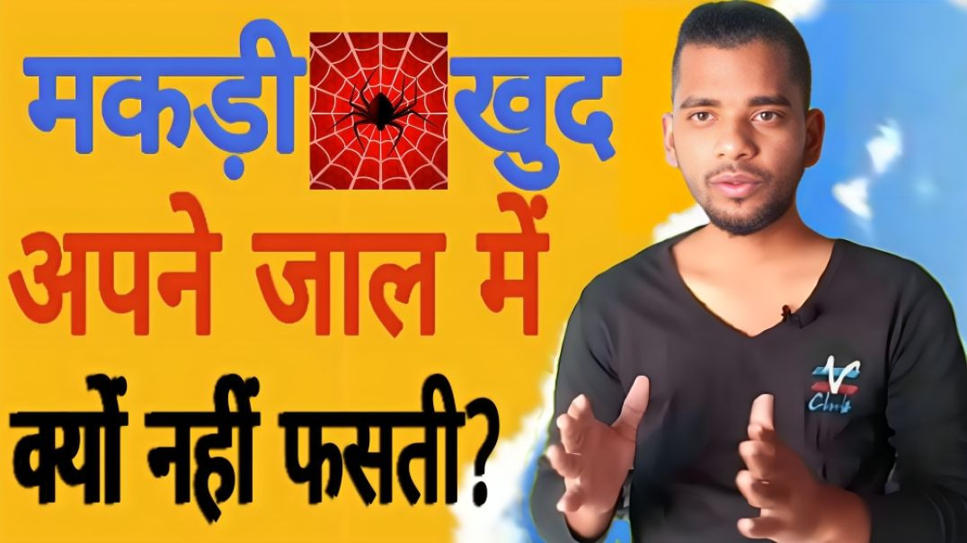 ⁣Makdi खुद अपने जाल में क्यों नही फसती | Spider | Zaal | Jhaal | AC Prashant