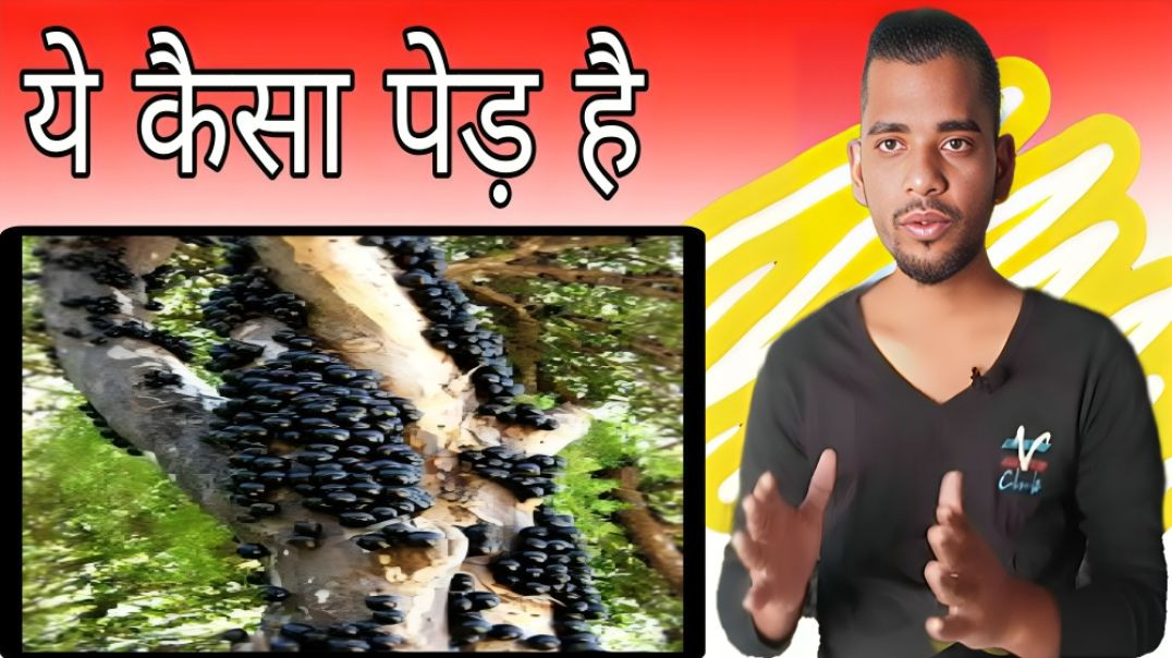 ⁣Note बनाने के लिए कितने पेड़ काटे जाते है | Currency | Tree | AC Prashant