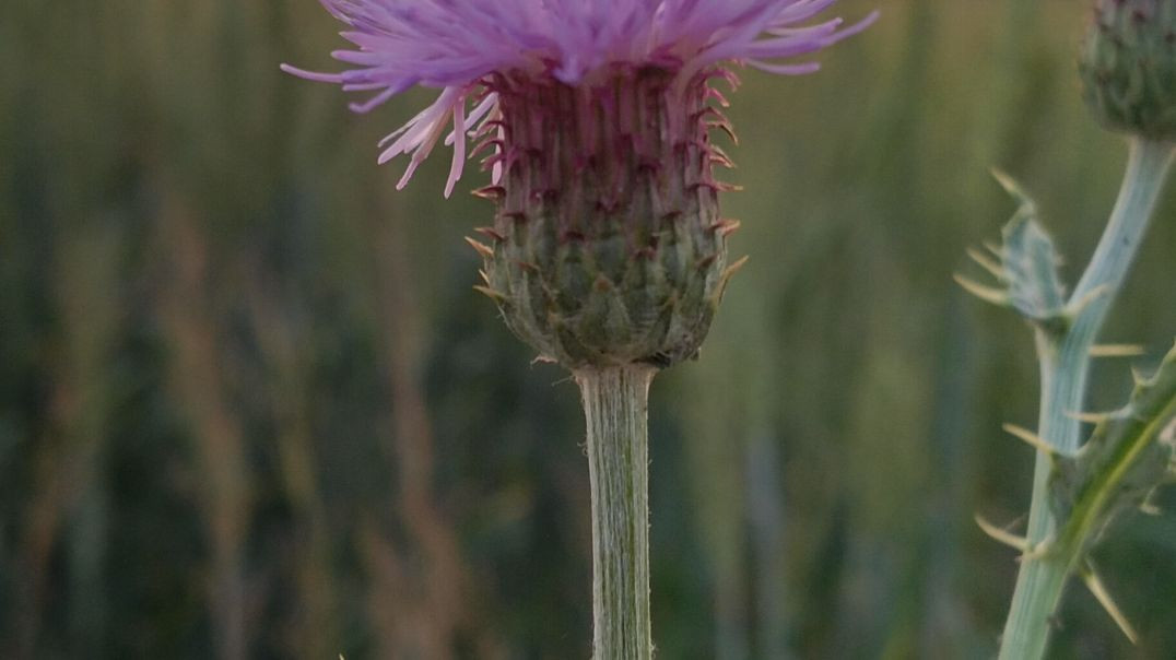 lv_0_20240708150338~2