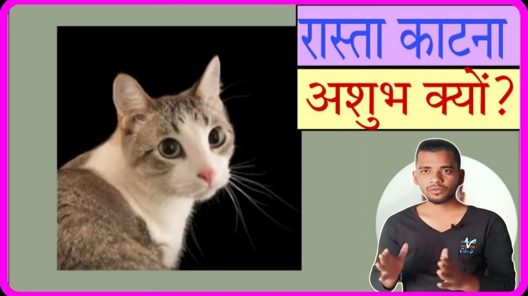 ⁣when cat cross the road is bad or something reason fact by AC Prashant