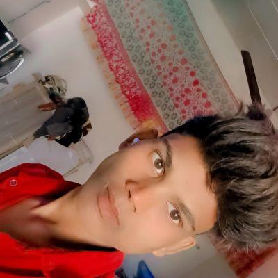 106068677709334194513 