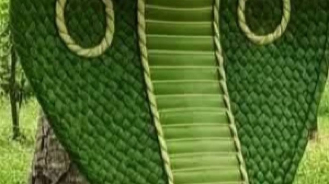 ⁣🙏🔱Mahadev 🔱 🙏