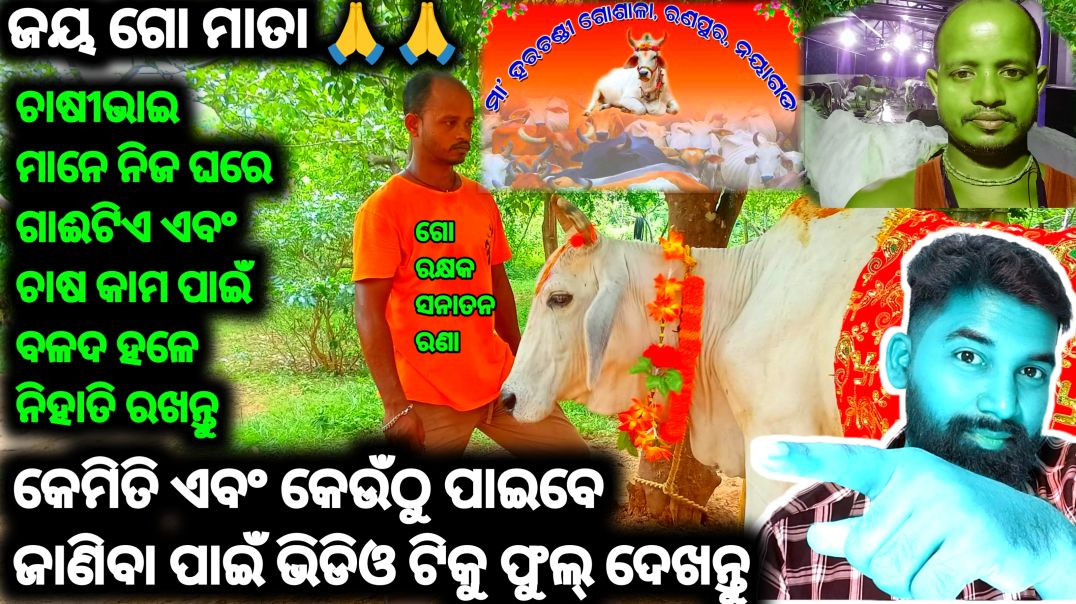 ⁣Jay go mata go rakshyaka//ଗୋ ମାତା 🙏🙏🙏