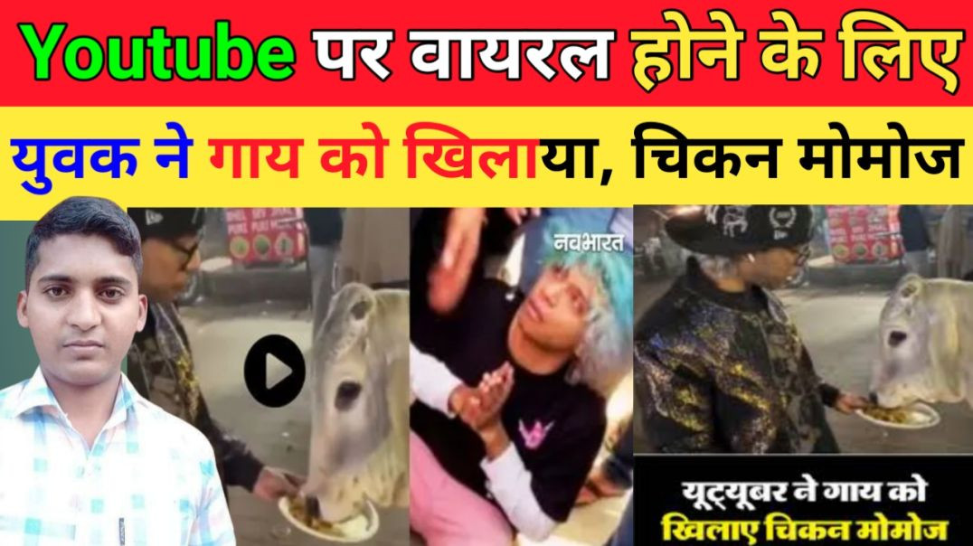 Youtube_पर_वायरल_होने_के_लिए_युवक_ने_गाय_को_खिलाया,_चिकन_मोमोज।।_Haryana_gurugram_story