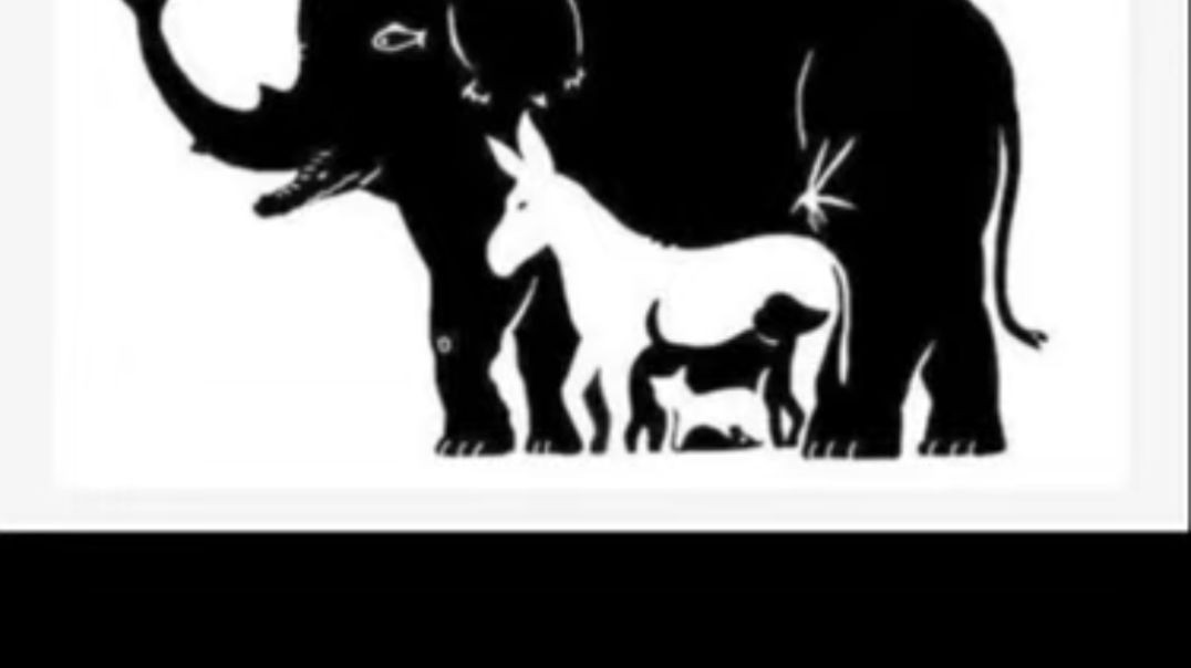 ⁣Are_they_Hiding_Our_Real_Calendar___🤯💀___Kuldeep_Singhaniaa_#shorts(360p)