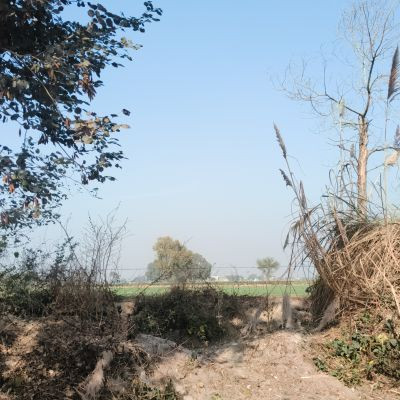 100938539780092498406