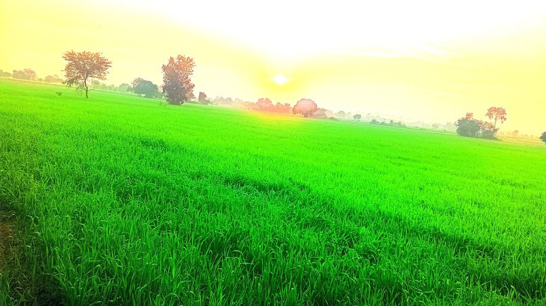 ⁣VID-20251212-WA0000