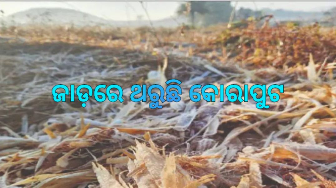 ⁣ରାଜୁଗୁଡ଼ାରେ ତୁଷାରପାତ।
