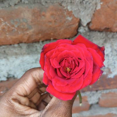 102331221677659387016