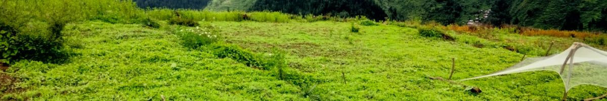 113323412122071848693 