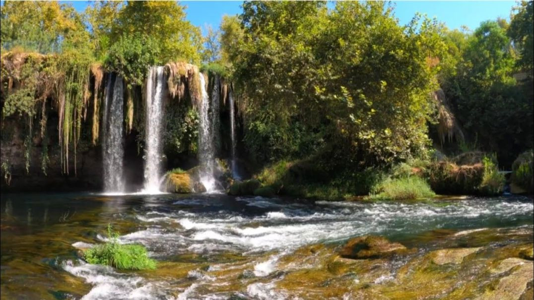 ⁣Relaxing Music For Stress Relief _ Heal Mind _ Body and Soul _Water sound _ JaiMala Music