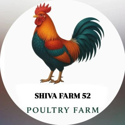 114167463069066631586 