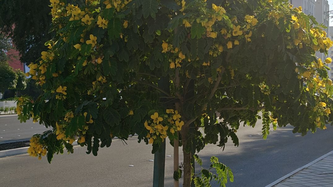 ⁣किसी की वात का बुरा मत मानो