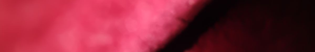 116927841707627883145 