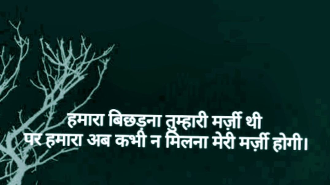 VID_20251215_075504_205