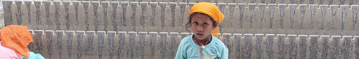 110053176886977129299 