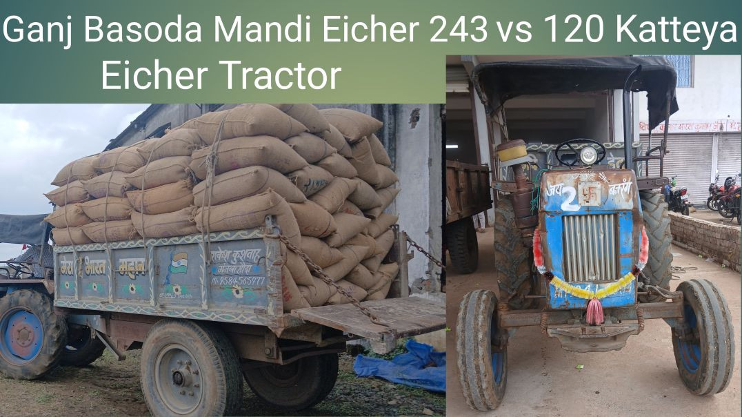 ⁣Ganj Basoda Mandi Eicher 243 #viralvideo //Yash Life Vlogs