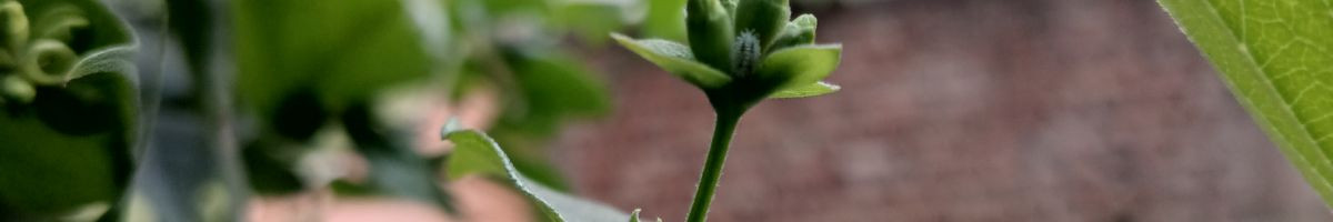 103407519309148529228 