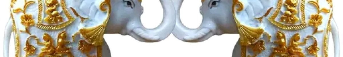 Food beauty And lifestyle