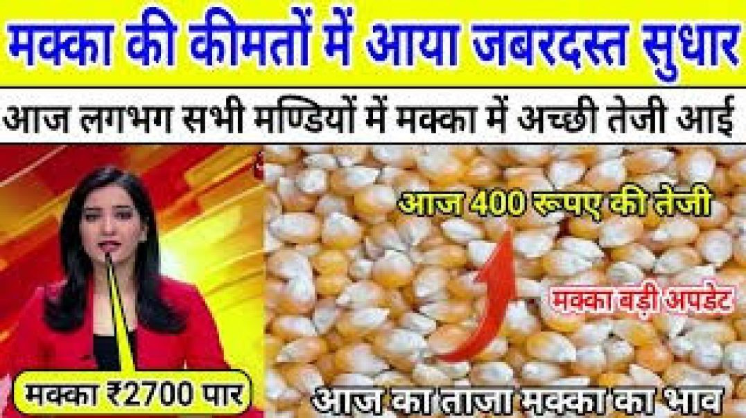 lv_0_20251208212103~5