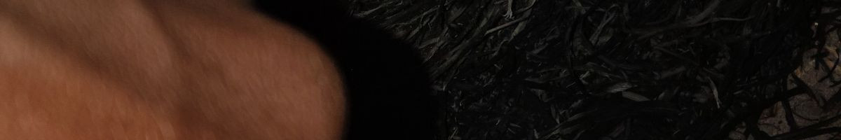 111693488441717164771 